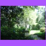 Shore Tour - Rosedown Garden 2.jpg